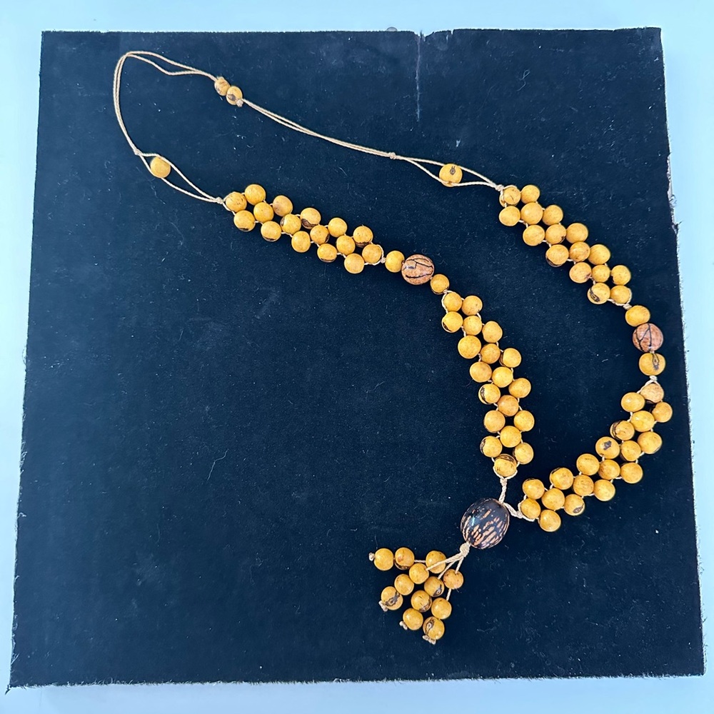 Indigenous Brazilian seed necklace
